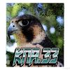 peregrine.falcon_333