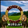 sandamirela3