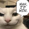 meowppenheim3r