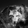 theycallmewolf1