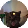 goofy_goober060