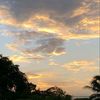 mahmoud_m7