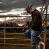 reel_cowboy