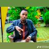 sankingofficial1