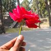 sarzi59