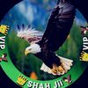 zulfiqarshah460