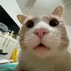 quynhtran.qtt