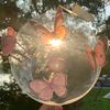 butterlight_