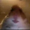 manthegay