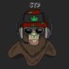 sassythedruggoo_