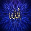 farhadfaizi70