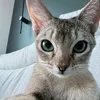 navia_cielo