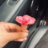 fa_dhlin