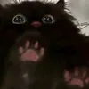 caonguyenphuck11