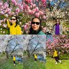 sp_povisser