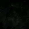adam._elh