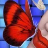 mariluvalentini