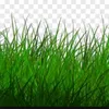 grass375