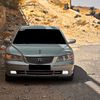 karem_alwarfly1
