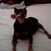 victoria.yardy