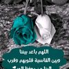 safia__.safir