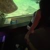 el_danii3