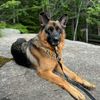 captain.the.gsd