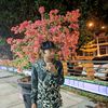 _rvaal1117