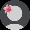 _timaaa.a