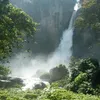 setiawan_3367