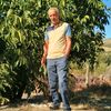 bayram28342834