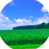 mohamedqoslaaye90