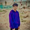 hs__n511