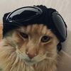 mlfy.me