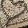 hamza19856