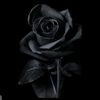 user65830116774