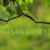 h454nkahfie