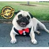 healthypet.gr