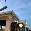Papirikoy