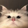 hiiimhereeeeee_