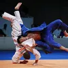 alesasha162