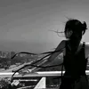 mlli_x5
