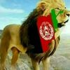 mansorafghan91