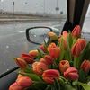 raghad_0021