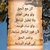 aminaminaup