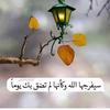 ommohamed48018