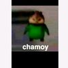 webi_wabo9081