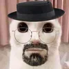 petyhgandon