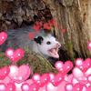 notanopossum