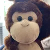 monkechester